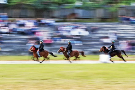 Rộn vó ngựa trong sắc xuân Bắc Hà