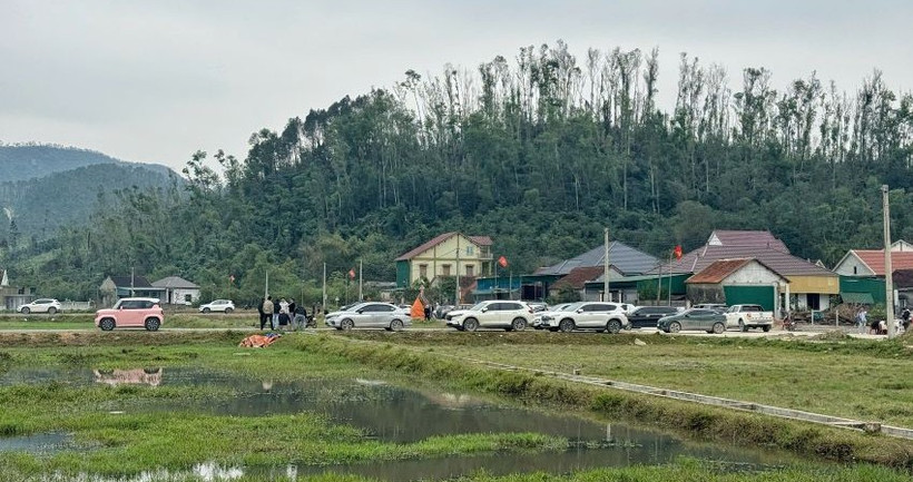 Hàng chục ô-tô từ khắp nơi đổ về khu vực đấu giá đất Rú Cụp-Nam Lĩnh xã Đại Huệ, tỉnh Nghệ An.