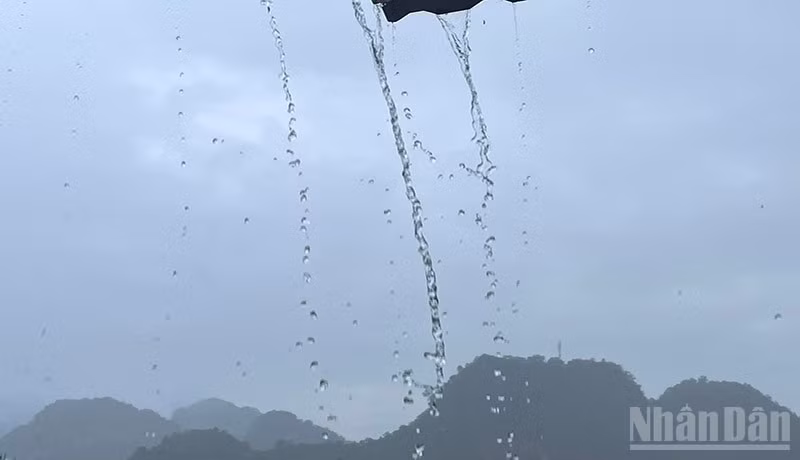 Dự báo khu vực vùng núi Bắc Bộ có mưa rào và dông rải rác, cục bộ có nơi mưa to. (Ảnh minh họa: Đ.T)