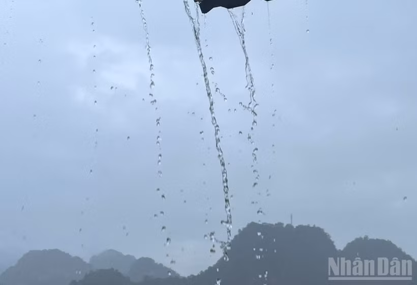 Dự báo khu vực Tây Bắc có mưa vừa, mưa to, có nơi mưa rất to. (Ảnh minh họa: Đ.T)