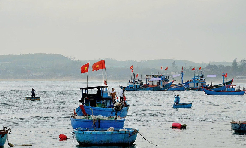 Ngư dân Quảng Ngãi vươn khơi bám biển, thực hiện nghiêm quy định chống khai thác IUU. (Ảnh: LƯU HƯƠNG)