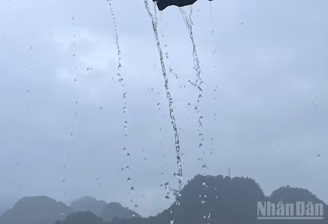 (Ảnh minh họa: Đ.T)