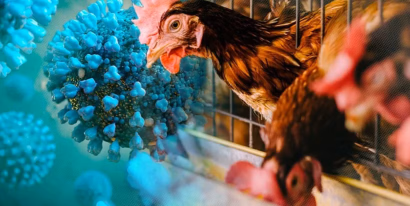 (Ảnh minh họa: VNA)