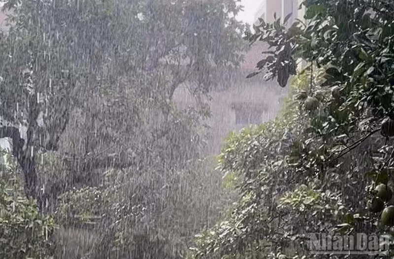 Dự báo Bắc Bộ có mưa rào và dông. (Ảnh minh họa: Đ.T)