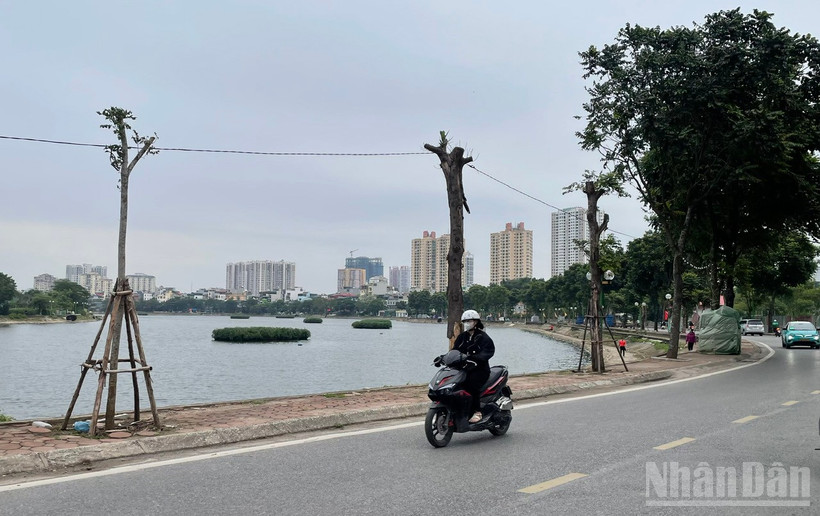 Dự báo khu vực Hà Nội trời rét đậm, có nơi rét hại.