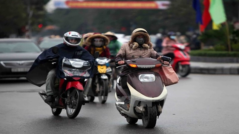 Ảnh minh họa. (Ảnh : TTXVN)