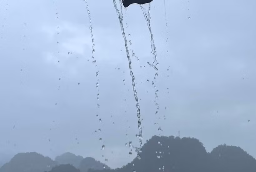 (Ảnh minh họa: Đ.T)