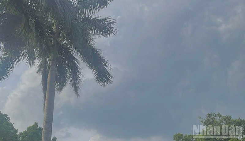 Dự báo khu vực Bắc Bộ và Thanh Hóa đến Hà Tĩnh có mưa rào và dông. (Ảnh minh họa: Đ.T)