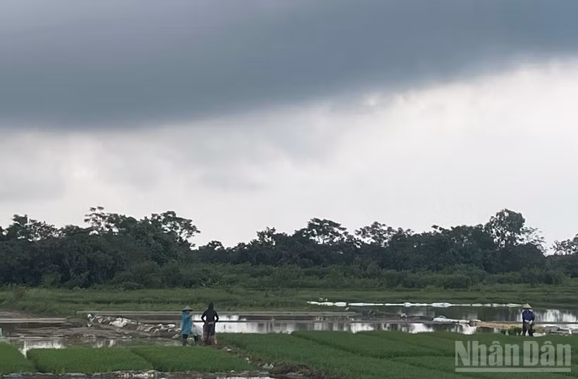 Dự báo khu vực Hà Nội có lúc có mưa rào và dông, cục bộ có nơi mưa to. (Ảnh minh họa: Đ.T)