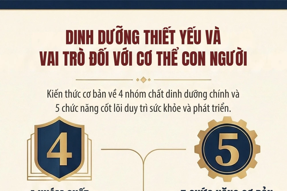 [Infographic] Cơ thể con người cần các chất dinh dưỡng nào và vai trò của các nhóm chất dinh dưỡng đó