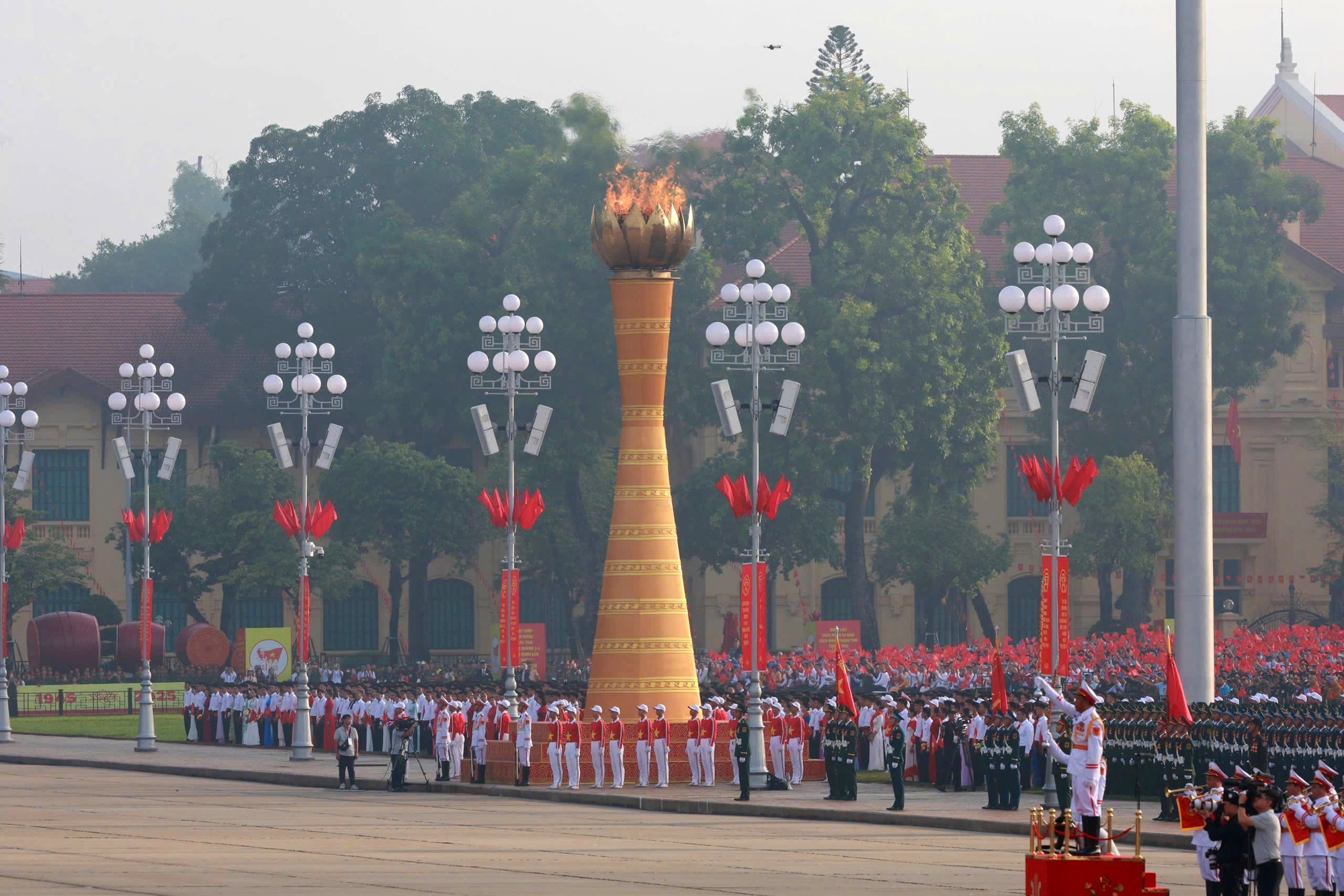 Ảnh TTXVN. anh-dai-lua.jpg