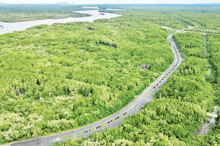 Tuyến Metro kết nối trung tâm Thành phố Hồ Chí Minh đến khu vực Cần Giờ do Vinspeed đầu tư dự kiến có vận tốc 350 km/giờ. (Ảnh QUÝ HIỀN)