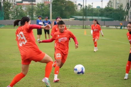 Các cầu thủ nỗ lực trong từng buổi tập. (Ảnh: VFF)