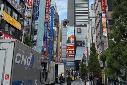 Tokyo hấp dẫn du khách Việt Nam bởi nhịp sống đô thị năng động và cảnh sắc mùa thu lãng mạn. (Ảnh: Trung Hiếu)