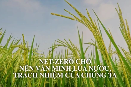 Net Zero cho nền văn minh lúa nước, trách nhiệm của chúng ta