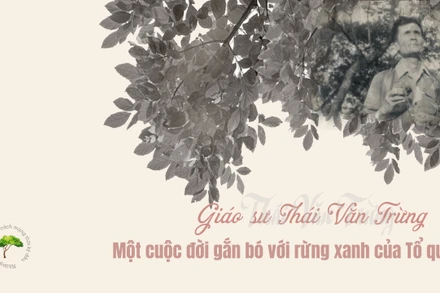 Giáo sư Thái Văn Trừng - Một cuộc đời gắn bó với rừng xanh Tổ quốc