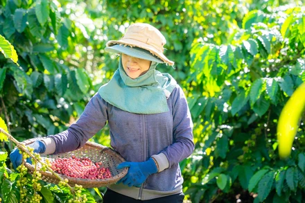 Việt Nam là mắt xích chiến lược trong chuỗi giá trị toàn cầu của Nestlé