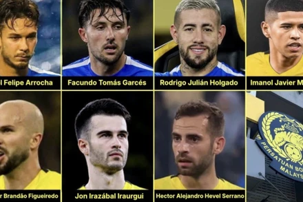 7 cầu thủ nhập tịch của đội tuyển Malaysia.