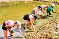 Ninh Bình thu hút du khách quốc tế với các hoạt động trải nghiệm văn hóa hấp dẫn.