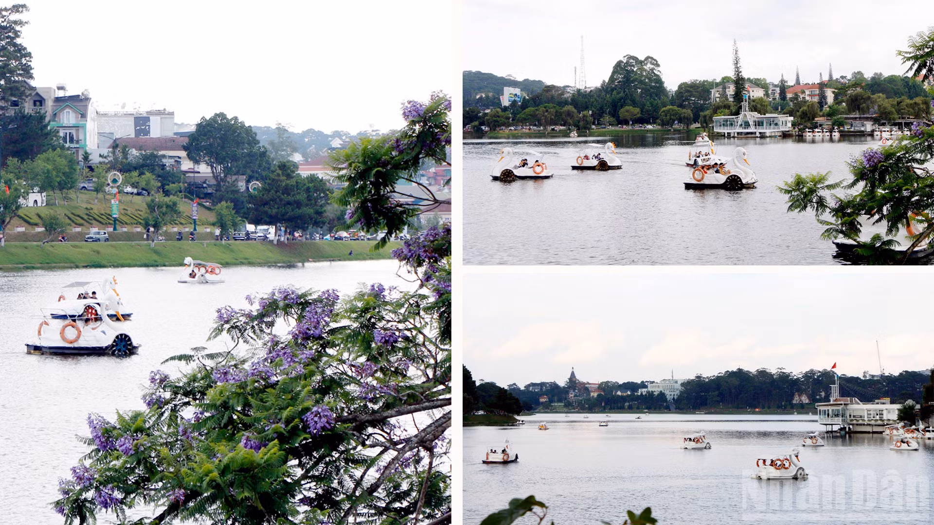 ndo_br_2-8020.jpg