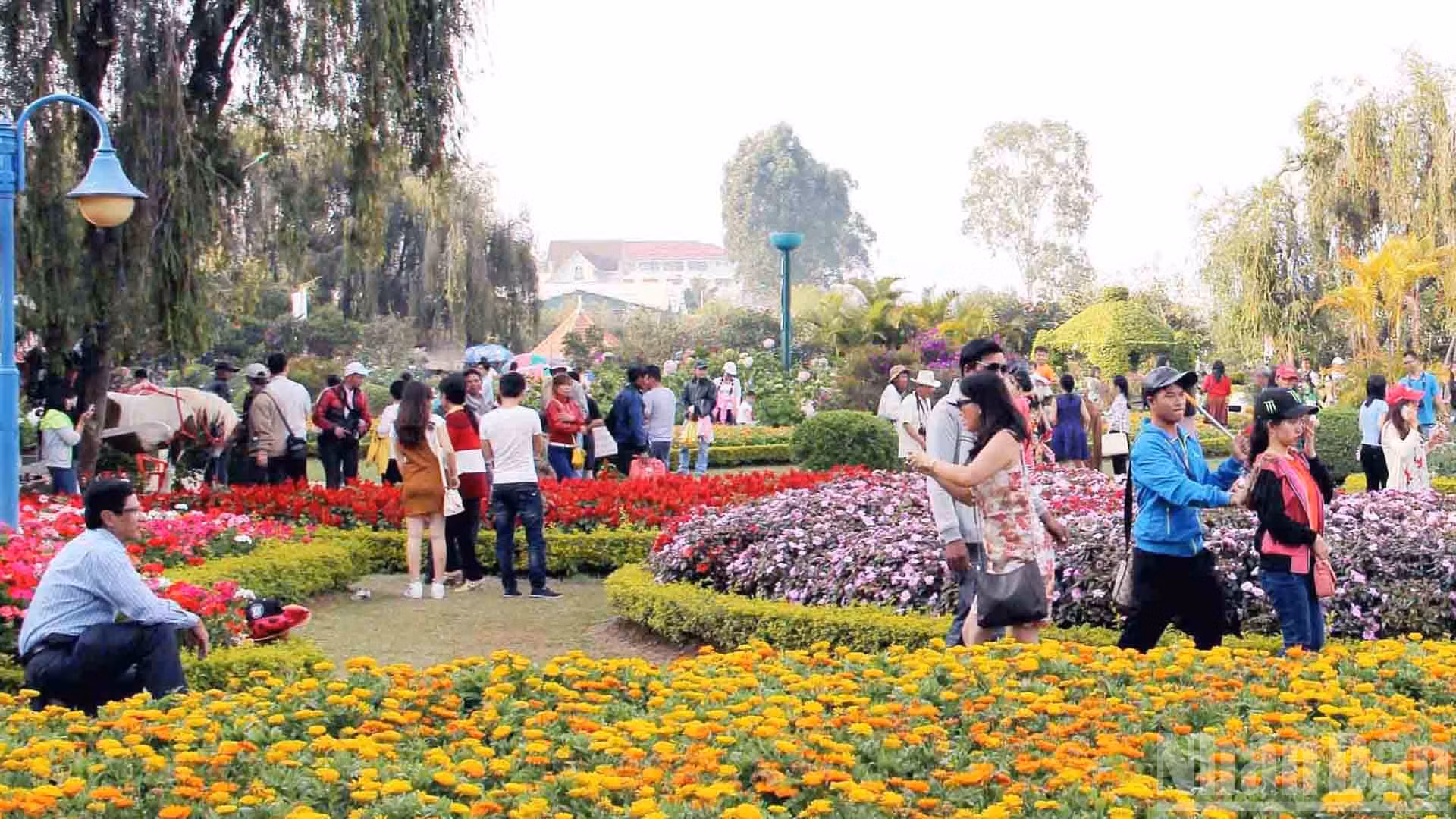 ndo_br_11-du-khach-den-voi-thanh-pho-hoa-dalat.jpg