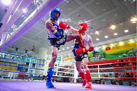 Muay Việt Nam (đỏ) áp đảo huy chương tại Giải vô địch châu Á 2025. Ảnh | IFMA