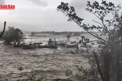 [Video] Philippines ban bố tình trạng thảm họa sau bão Kalmaegi, ít nhất 140 người thiệt mạng