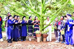 Mô hình sản xuất sầu riêng theo tiêu chuẩn VietGAP của Hợp tác xã dịch vụ nông nghiệp sạch, xã Krông Pắc, tỉnh Đắk Lắk.