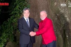 [Video] Trung Quốc kêu gọi dỡ rào cản thương mại để thúc đẩy chuyển đổi xanh toàn cầu 