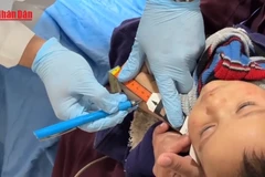 [Video] WHO khôi phục nhiều dịch vụ y tế và tiêm chủng cho trẻ em tại Dải Gaza 