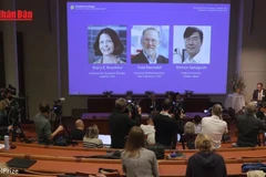 [Video] Giải Nobel Y Học mở màn cho mùa Nobel 2025 