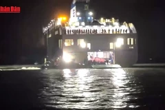 [Video] Hàn Quốc điều tra vụ phà mắc cạn sau khi giải cứu hành khách an toàn 