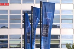 [Video] NATO điều quân tới Greenland giữa căng thẳng Mỹ – Đan Mạch 