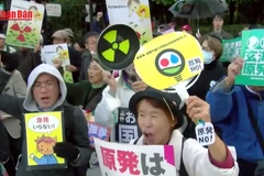 [Video] Nhật Bản khởi động nhà máy điện hạt nhân lớn nhất thế giới sau 15 năm 