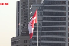 [Video] Thêm một nước thành viên NATO sắp công nhận nhà nước Palestine