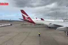 [Video] Australia phạt hãng hàng không quốc gia 59 triệu USD vì sa thải nhân viên trái phép 