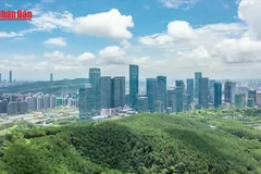 [Video] Kinh nghiệm chuyển đổi xe điện ở Trung Quốc