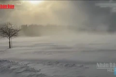 [Video] Bão mùa Đông khắc nghiệt “lịch sử” ảnh hưởng tới 200 triệu người Mỹ