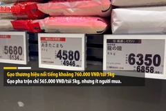 [Video] Giá gạo tại Nhật Bản tiếp tục tăng tuần thứ hai liên tiếp