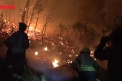 [Video] Pháp chưa thể khống chế đám cháy rừng nghiêm trọng nhất trong gần 80 năm 