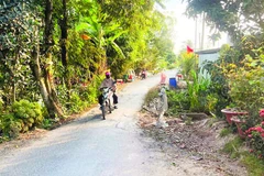 Đoạn đường tại mương cống Sáu Xứng gây nguy hiểm cho người tham gia giao thông.