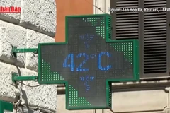 [Video] 2.300 người thiệt mạng tại châu Âu trong đợt nắng nóng kỷ lục