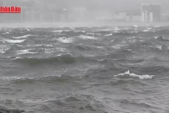 [Video] Các nước châu Á ghi nhận thương vong vì bão Wipha