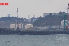[Video] Nhật Bản dần quay lại điện hạt nhân sau 15 năm thảm họa Fukushima 