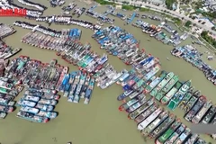 [Video] Trung Quốc nâng mức cảnh báo bão Matmo lên cao nhất - màu đỏ