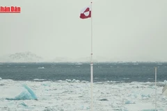 [Video] Giới chức Moskva nói người dân Greenland có thể bỏ phiếu gia nhập Nga 