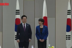 [Video] Nhật Bản và Hàn Quốc thúc đẩy quan hệ giữa căng thẳng khu vực 