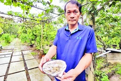 Ngọc trai được chế tác thành những đồ trang sức tinh xảo.
