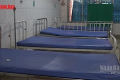 [Video] Ấn Độ bác thông tin “dịch Nipah bùng phát diện rộng”