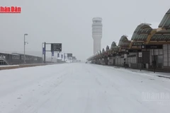 [Video] Bão mùa Đông tại Mỹ có thể gây thiệt hại lên tới 115 tỷ USD